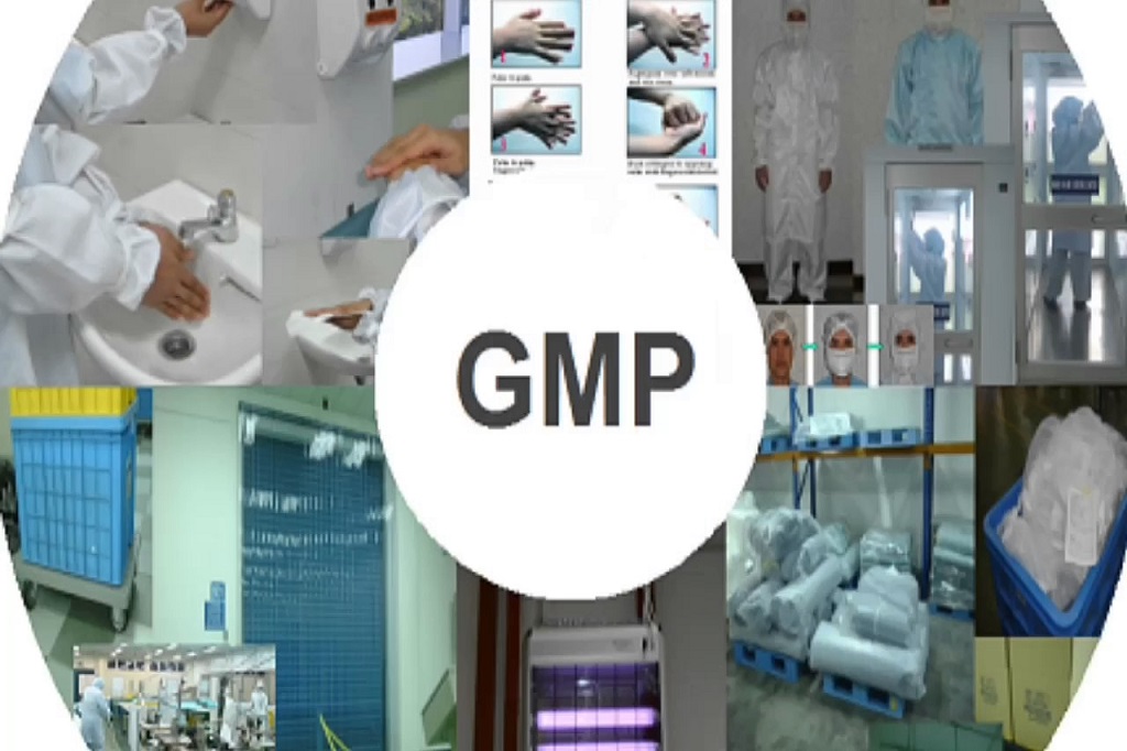 GMP Standards: The Pillar of Quality in PCD Pharma Industry